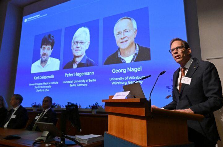 Optogenética: La Innovadora Técnica para Controlar Neuronas con Luz que Revolucionó la Medicina y Ganó el Nobel