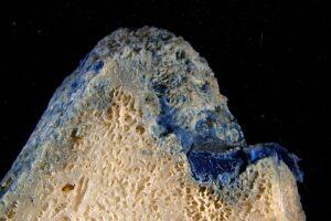 "Plasticoral: La Innovadora Contaminación que Mezcla Plástico Derretido y Restos de Coral"
