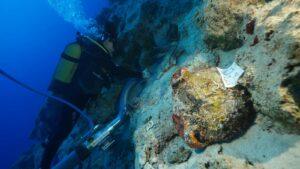 Descubren el Naufragio Más Antiguo del Mundo: Hallazgos Inesperados en la Historia Marítima