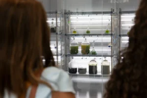 23 Jóvenes Talentos Investigadores Destacan en la Clausura de NexAgora 2026 organizada por la ACIISI