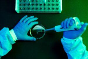 Virus Shamonda: Riesgos y Detalles del Primer Contagio Humano Reportado en Francia